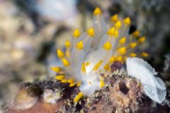 DSC_1126-scaled