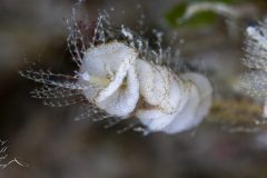 DSC_2670-scaled