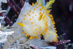 DSC_3553-scaled