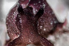 DSC_5828-scaled