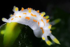 DSC_5872-scaled