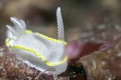 DSC_6041-scaled