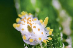 DSC_6052-scaled