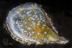 DSC_6138-scaled