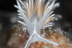 DSC_6186-scaled