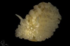 DSC_7744-scaled