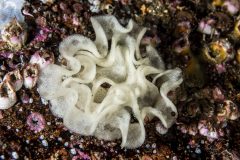 DSC_8438-scaled