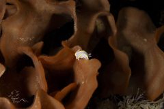 DSC_8451-scaled