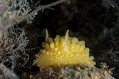 DSC_8978-scaled