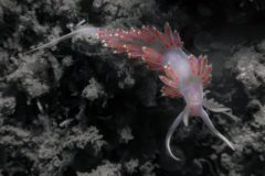 DSC_9492-scaled