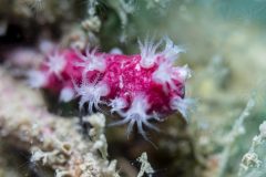 DSC_4835-scaled