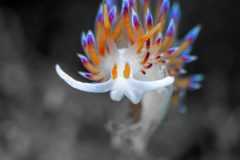 DSC_4847-scaled