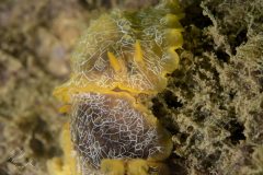 DSC_8357-scaled