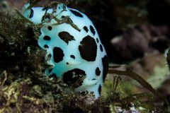 IMG_5626-scaled