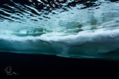 DSC_1500-scaled