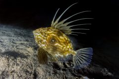 DSC_0311-scaled