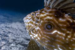DSC_0316-scaled