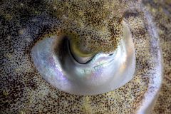 DSC_3872-scaled