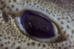 DSC_3883-scaled