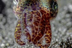 DSC_6283-scaled
