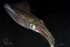 DSC_8057-scaled
