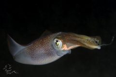DSC_8058-scaled