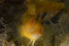 DSC_8380-scaled