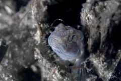 DSC_8917-scaled