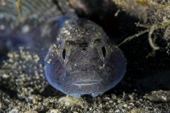 DSC_9054-scaled