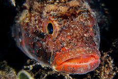 DSC_9359-scaled