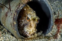 DSC_9988-scaled-1