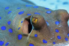 DSC_2018-1-scaled