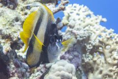 DSC_2075-scaled