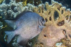 DSC_6994-scaled
