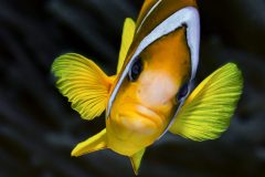 DSC_7021-scaled
