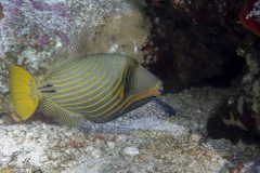 DSC_7030-scaled