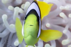 DSC_7174-scaled