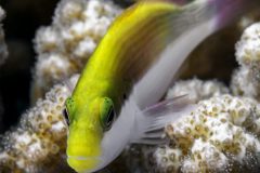 DSC_7221-scaled