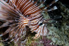 DSC_7361-scaled