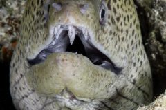 DSC_7464-scaled