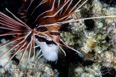 DSC_7473-scaled