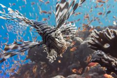 DSC_7701-scaled