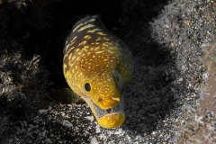 P6080266