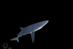 DSC_7789-scaled