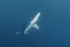 DSC_7848-scaled