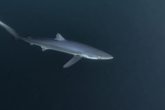 DSC_7873-scaled