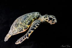 DSC_7660-scaled