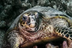 DSC_7774-scaled