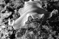 360027925_823433489174302_7499571859418572391_n