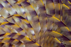 DSC_3491-scaled